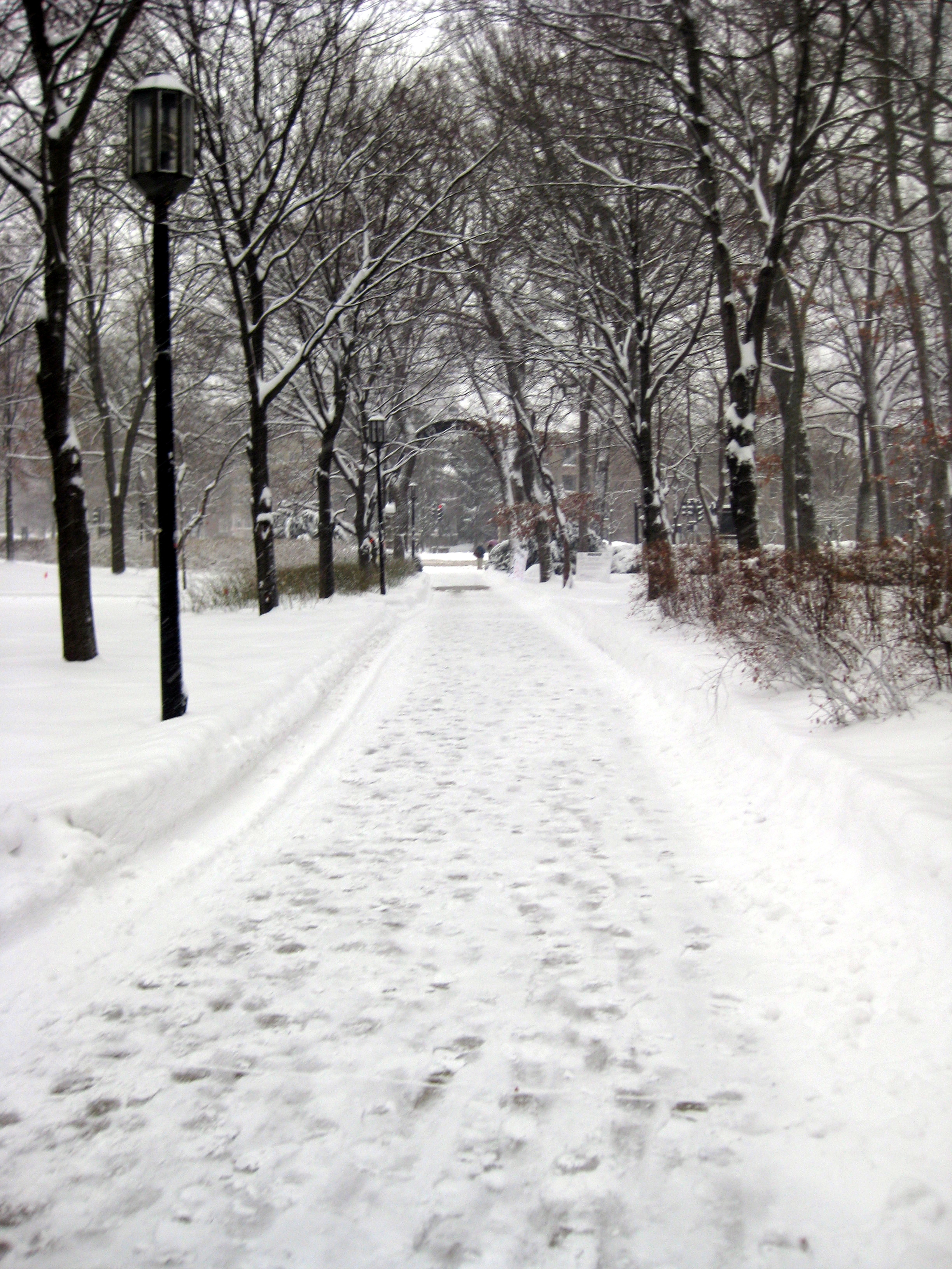 img_0003 Snow on campus