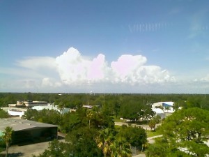 08-04-09_1639